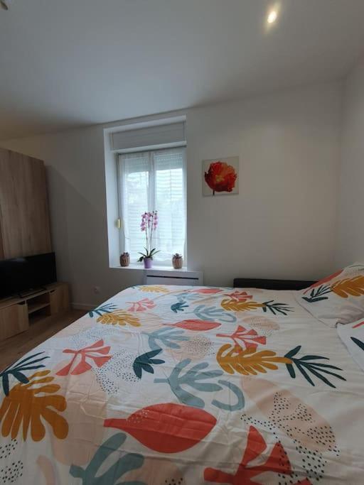 Studio Coquelicot Daire Nancy Dış mekan fotoğraf